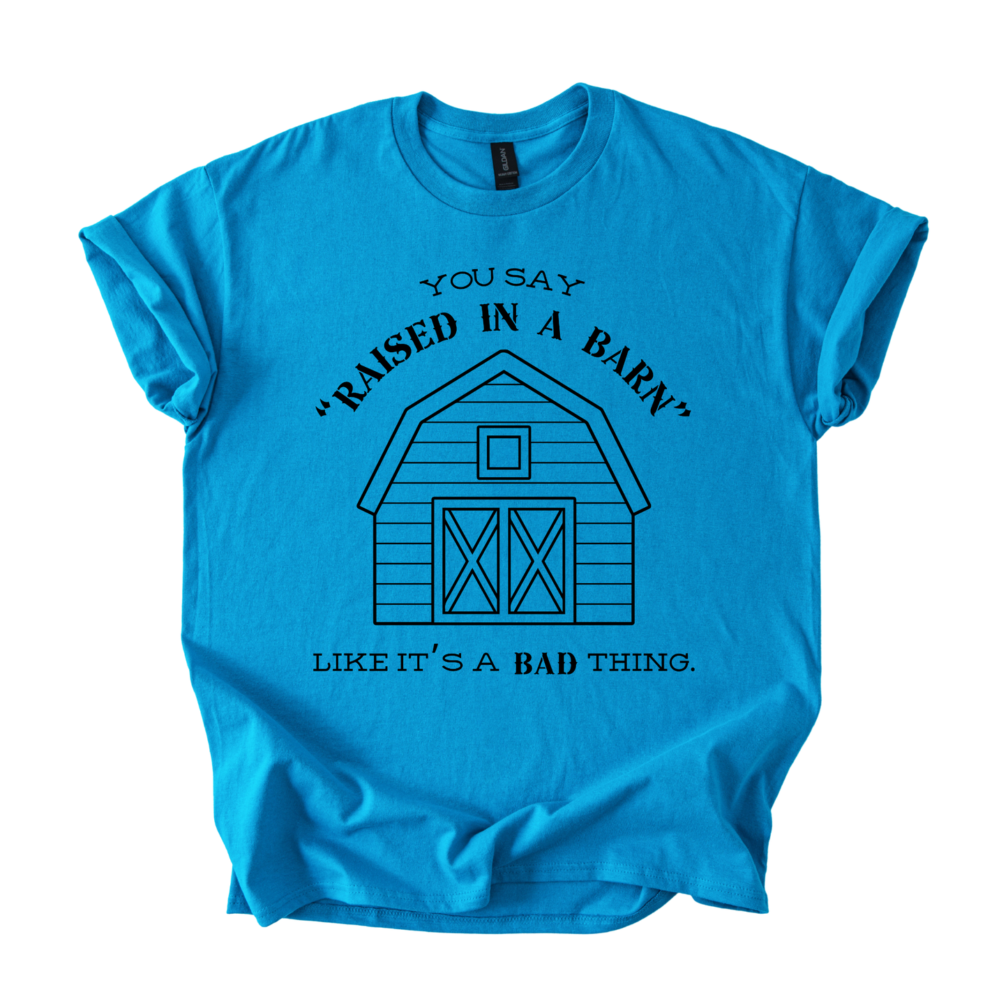 Raised in a Barn Youth T-shirt