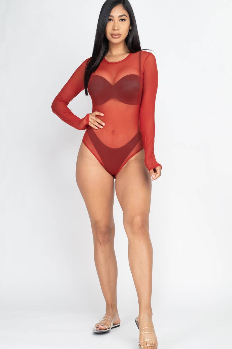 Mesh Sheer Long Sleeves Bodysuit