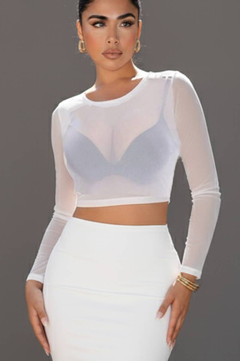 Solid Mesh Sheer Crop Top