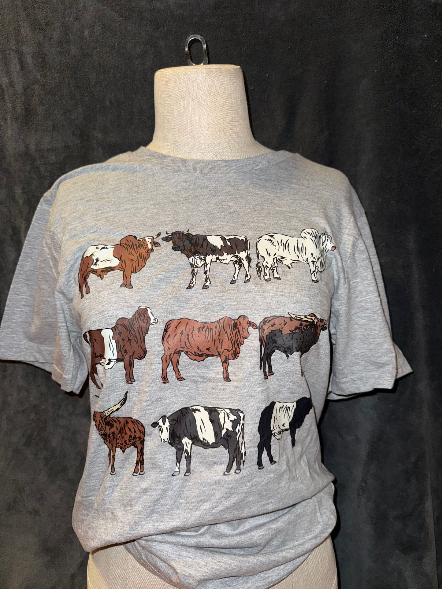 Cow Types Graphic T-shirt
