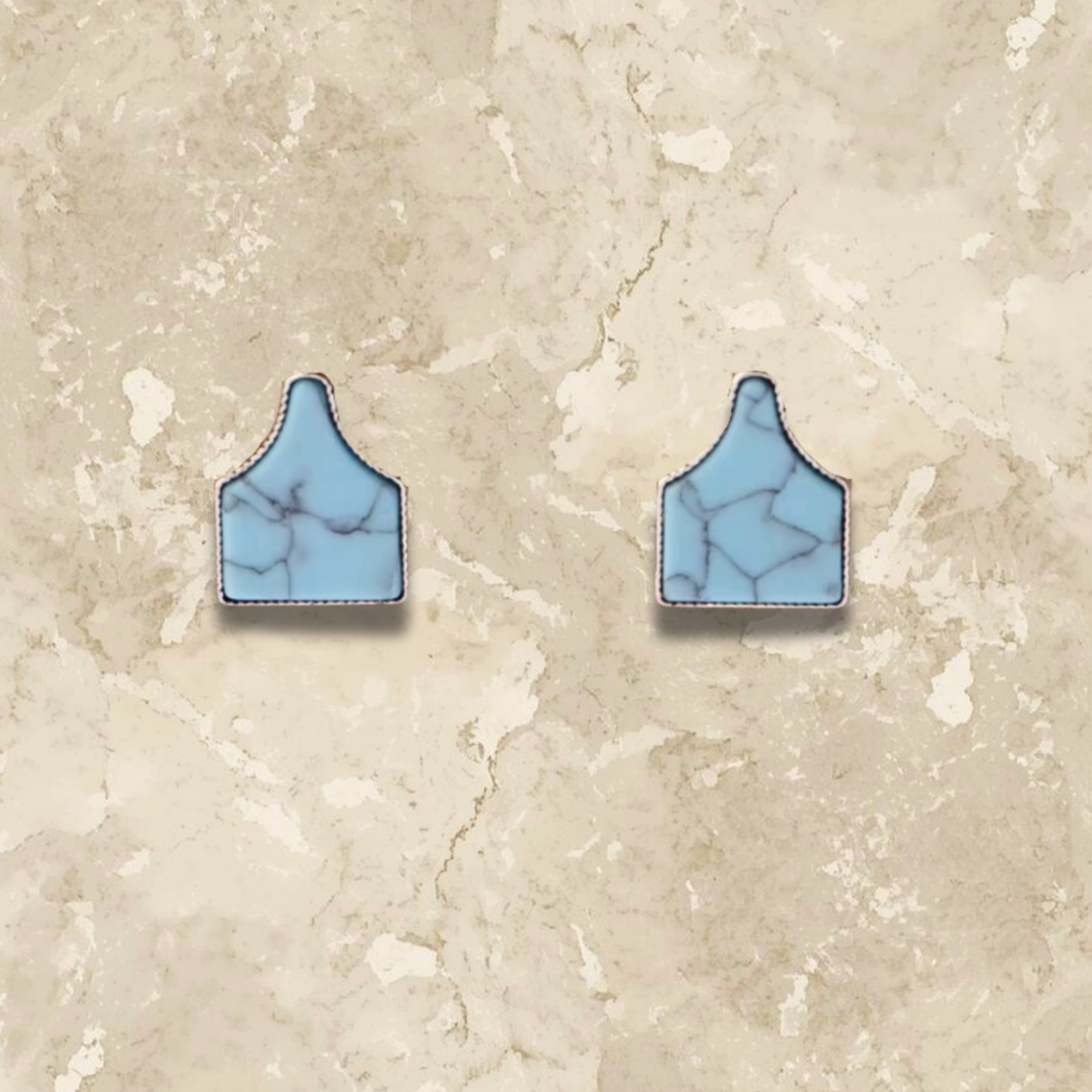 Faux Turquoise Ear Tag Stud Earrings