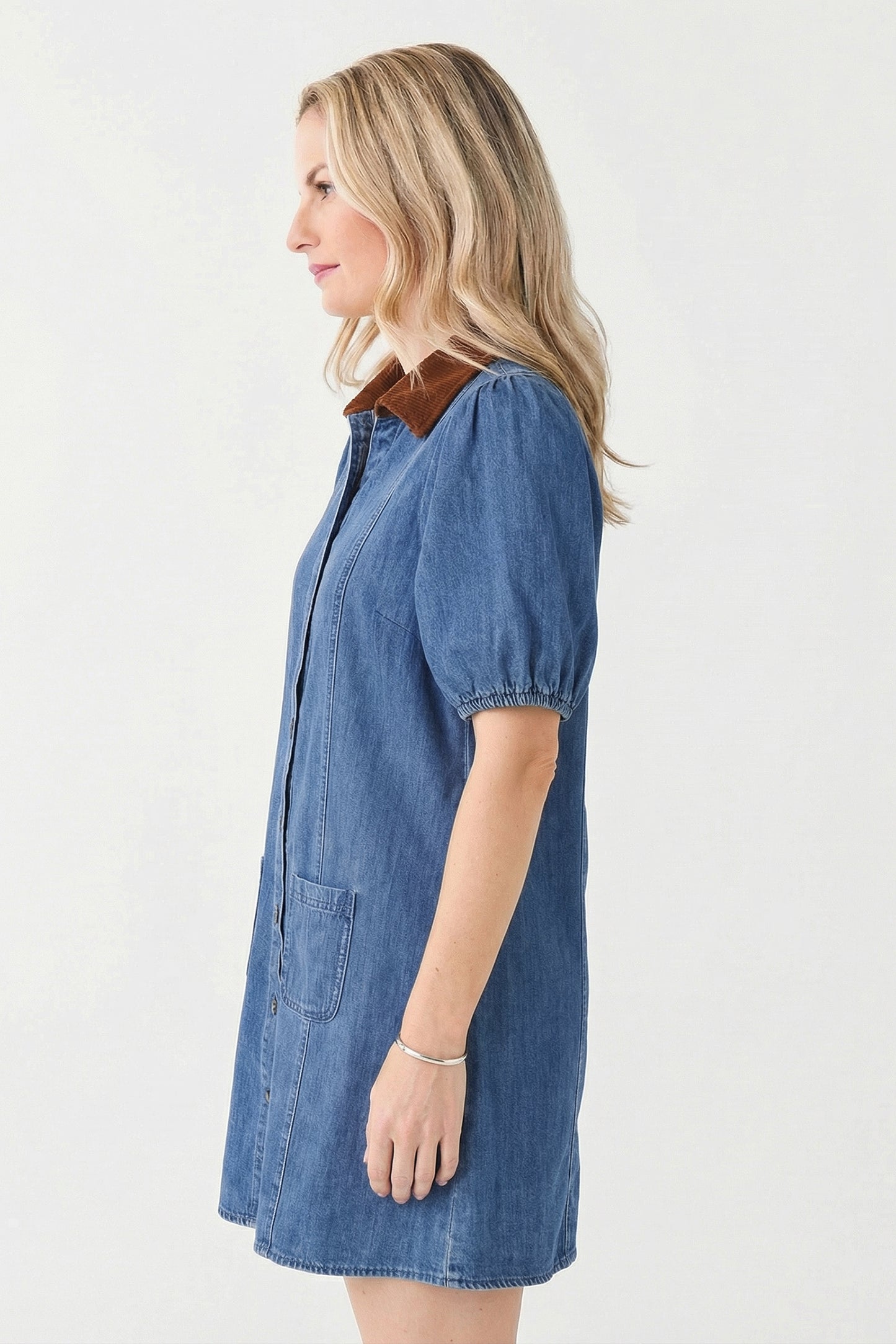 The Laramie Denim Dress